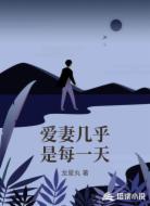 爱妻几乎是每一天