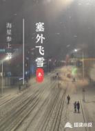 塞外飛雪