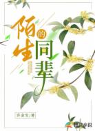 陌生的同辈