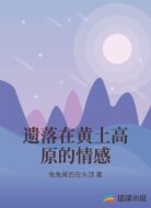 遗落在黄土高原的情感