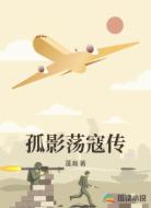 孤影荡寇传