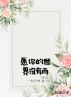 愿你的世界没有雨
