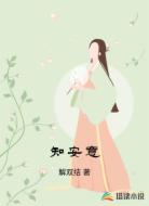 知安意