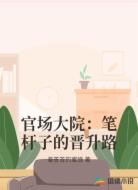 官场大院：笔杆子的晋升路