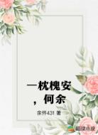 一枕槐安，何余