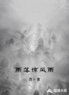 雨落惊风雨