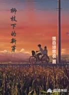 柳枝下的新芽