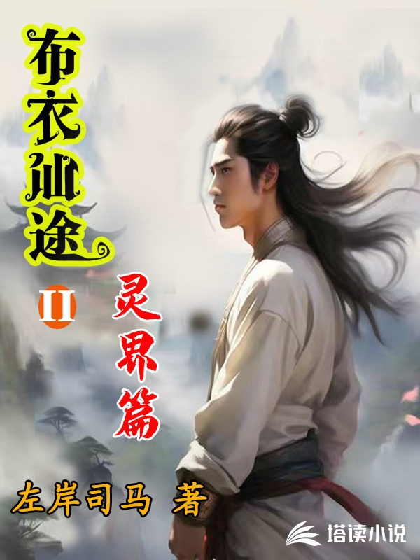 书名
