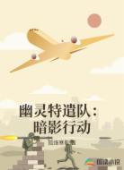 幽灵特遣队:暗影行动