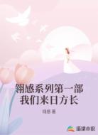 翎感系列第一部我们来日方长