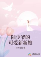 陆少爷的可爱新新娘