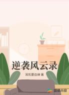 逆袭风云录