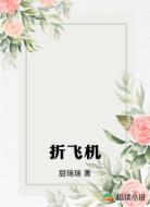折飞机