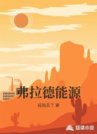 弗拉德能源