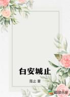 白安城止