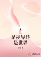 是视界还是世界