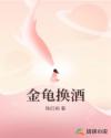 金龜換酒