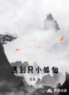 遇到只小狐仙