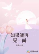 如果能再见一面