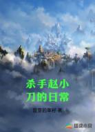 杀手赵小刀的日常
