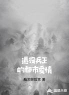 退役兵王的都市爱情