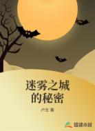 迷雾之城的秘密