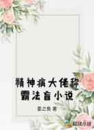 精神病大佬称霸法盲小说