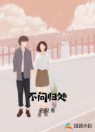 不问归处