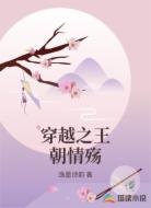 穿越之王朝情殇
