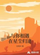 与你相遇在星尘归途