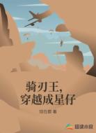 骑刃王，穿越成星仔