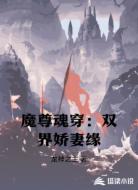 魔尊魂穿:双界娇妻缘