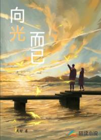 向光而已