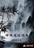 暗夜追逃续集