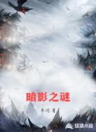 暗影之谜