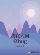 我在人间修bug