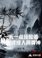 一天一点经验值,我终成人间真神