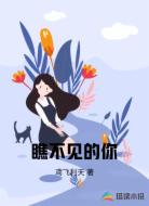 瞧不见的你