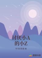 讨厌小A的小Z