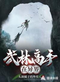 武林高手在異界
