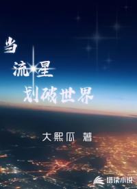 當流星劃破世界