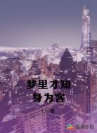 夢(mèng)里才知身為客