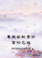 秦武安的奇妙冒险之旅