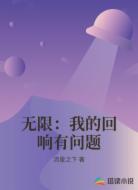 无限：我的回响有问题