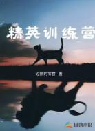 精英训练营