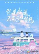 你是我遥不可及的梦想