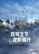 苍穹之下,龙影孤行