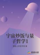 宇宙炒饭与量子哲学1