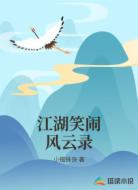 江湖笑闹风云录