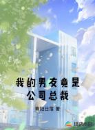 我的男友竟是公司总裁